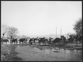 Persien, Teheran: Armee