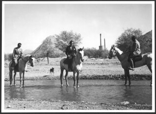 Persien, Teheran: Gräfin Maud von Rosen; Gräfin Maud von Rosen und zwei Männer am Reiten