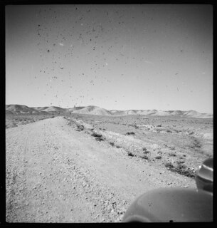 Persien: Landschaft; Landstrasse und ein Teil des Autos (Buick), aufgenommen auf der Fahrt von Isfahan nach Schiraz (Schiras) (Lokalisierung unsicher)