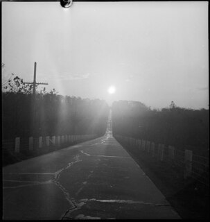 USA: Landstrasse; Blick auf Landstrasse, der Sonne entgegen