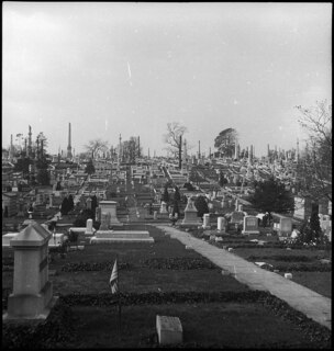 USA: Friedhof; Blick auf einen Friedhof