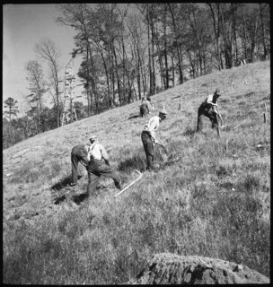 TVA | Norris Dam | CCC-Boys working on reforestation [Legende auf separatem Zettel]