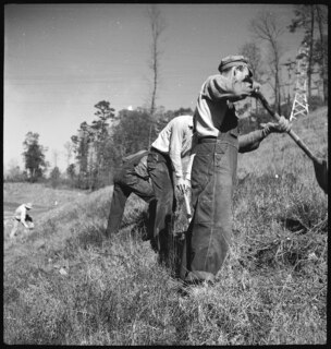 TVA | Norris Dam | CCC-Boys working on reforestation [Legende auf separatem Zettel]