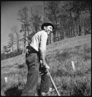 TVA | Norris Dam | CCC-Boys working on reforestation [Legende auf separatem Zettel]