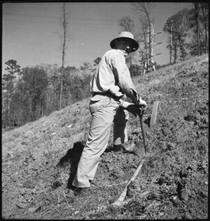 TVA | Norris Dam | CCC-Boys working on reforestation [Legende auf separatem Zettel]