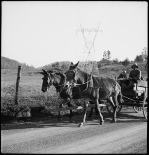 Nov. 37 | TVA | Norris Village [Legende auf separatem Zettel]