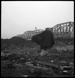 Nigroes in Cincinnati [Legende auf separatem Umschlag]