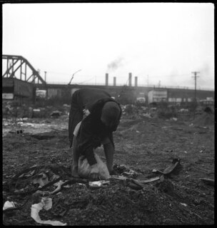 Nigroes in Cincinnati [Legende auf separatem Umschlag]
