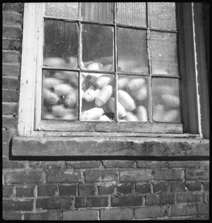 USA, Lumberton/NC: Haus (Lokalisierung unsicher); Textilspulen in einem Fenster
