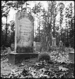 USA, Gruetli/TN: Friedhof; Grabsteine