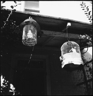 USA, Lincoln County/TN: Menschen; Vogelkäfig an einem Vordach hängend