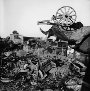 USA, Athens/TN: Autofriedhof; Autowracks auf einer Wiese