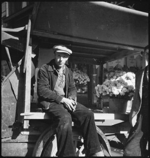 Knoxville Market Street + "Dead End" Street [Legende auf separatem Umschlag]