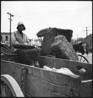 USA, Montgomery/AL: Menschen; Eine Frau auf einer Kutsche