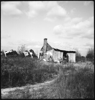 USA, zwischen Montgomery/AL und Columbus/GA: Hütte; Holzhütte, daneben aufgehängte Wäsche