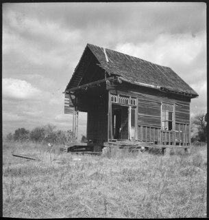 USA, zwischen Montgomery/AL und Columbus/GA: Hütte; Holzhütte in einer Wiese