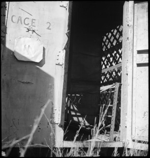 USA, Harris County/GA: Gefängnis; Innenansicht einer der vergitterten Hütte