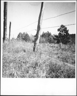 USA, Harris County/GA: Gefängnis; Absperrzaun