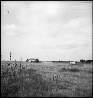 USA, zwischen Montgomery/AL und Columbus/GA: Landschaft; Weiden, im Hintergrund ein Häuser