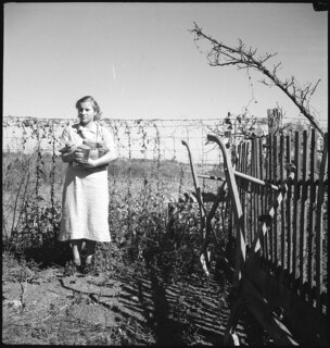 Pine Valley Project (Georgia) | Selbständige Farmer pflanzen Kartoffeln, Obst u. Kohl statt Baumwolle. [Legende auf separatem Umschlag]