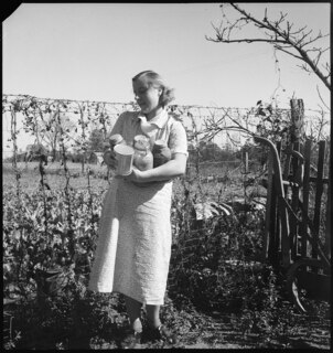 Pine Valley Project (Georgia) | Selbständige Farmer pflanzen Kartoffeln, Obst u. Kohl statt Baumwolle. [Legende auf separatem Umschlag]