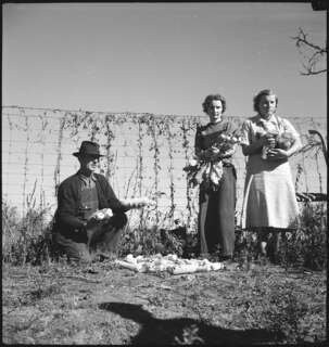 USA, Pine Mountain Valley/GA: Menschen; Ein Mann und zwei Frauen. Der Mann präsentiert Maiskolben, die Frauen Gemüse und Früchte
