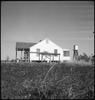Pine Valley Project (Georgia) | Selbständige Farmer pflanzen Kartoffeln, Obst u. Kohl statt Baumwolle. [Legende auf separatem Umschlag]