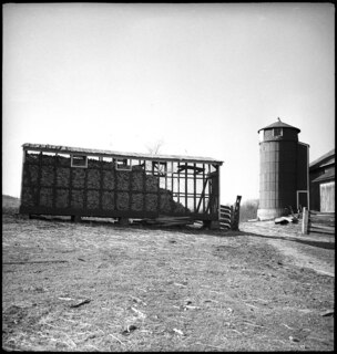 USA: Gebäude; Gestappelte Maiskolben in einer Art Scheune, daneben ein Silo