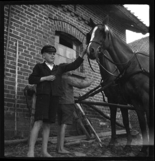 Ostpreussen | Pferde. | [handschriftlicher Eintrag auf zerschnittenem Umschlag; unsicher, ob der Umschlag tatsächlich zu diesem Dokument gehört]