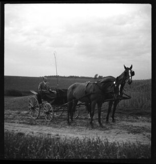 18/3 [unsichere Lesart]Ostpreussen | Pferde. | [handschriftlicher Eintrag auf zerschnittenem Umschlag; unsicher, ob der Umschlag tatsächlich zu diesem Dokument gehört]