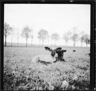 Ostpreussen | Heilsberg | [handschriftlicher Eintrag auf zerschnittenem Umschlag; unsicher, ob der Umschlag tatsächlich zu diesem Dokument gehört]