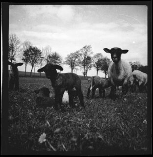 Ostpreussen | Heilsberg | [handschriftlicher Eintrag auf zerschnittenem Umschlag; unsicher, ob der Umschlag tatsächlich zu diesem Dokument gehört]