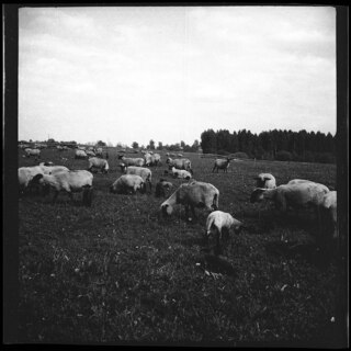 Ostpreussen | Heilsberg | [handschriftlicher Eintrag auf zerschnittenem Umschlag; unsicher, ob der Umschlag tatsächlich zu diesem Dokument gehört]17/2 [unsichere Lesart]