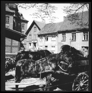 Freie Stadt Danzig, Danzig (Gdansk): Strassenszene (Lokalisierung unsicher); Pferde mit Kutrschen; Häuser