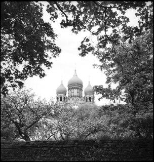 Estland, Tallinn (Reval): Alexander-Newski-Kathedrale; Alexander-Newski-Kathedrale (Teilansicht); Bäume