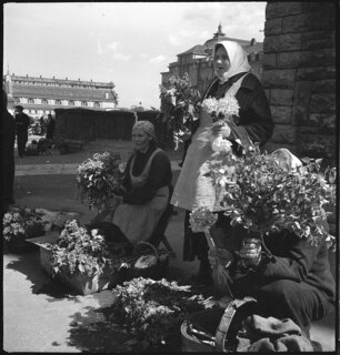 Estland, Tallinn (Reval): Blumenverkäuferinnen; Frauen beim Zusammenbinden von Blumen