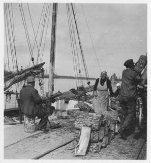 Estland, Tallinn (Reval): Hafenszene; Holzexport