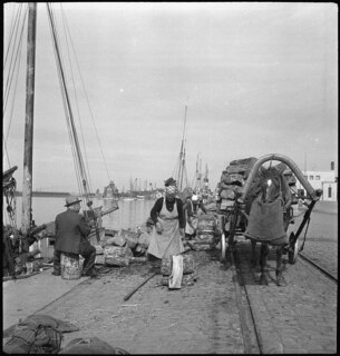 Estland, Tallinn (Reval): Hafenszene; Holzexport