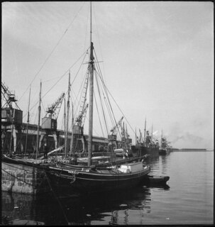 Estland, Tallinn (Reval): Hafenszene; Hafen mit einem Schiff