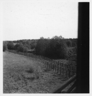Estland, Narva (Narwa): Landschaft; Holzpfähle in Landschaft