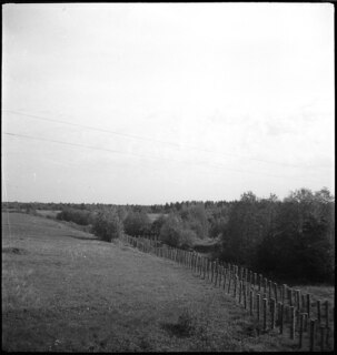 Estland, Narva (Narwa): Landschaft; Holzpfähle in Landschaft