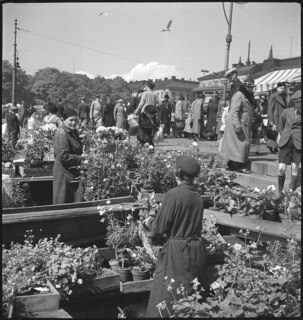 Finnland, Helsinki: Markt; Blumenstände auf dem Markt