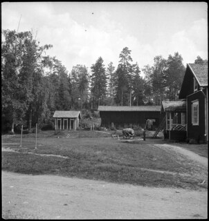 Finnland: Haus; Haus inmitten eines Waldes