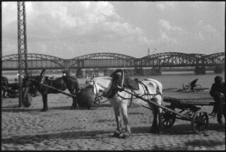 Lettland, Riga: Tiere; Pferdegespanne, im Hintergrund die Eisenbahnbrücke