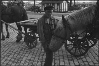 Lettland, Riga: Tiere; Ein Mann füttert sein Pferd, daneben ein weiteres Pferdefuhrwerk