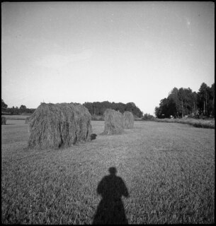 Schweden: Landschaft; Holzgestelle mit Heu zum Trocknen