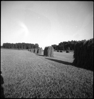 Schweden: Landschaft; Holzgestelle mit Heu zum Trocknen