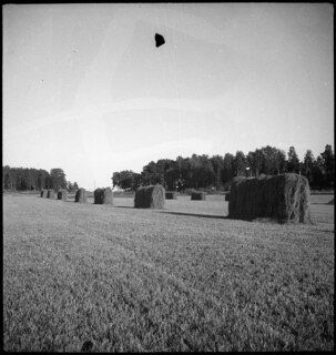 Schweden: Landschaft; Holzgestelle mit Heu zum Trocknen