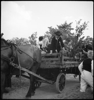 Schweden: Mitsommerfest; Kinder auf einem Holzwagen