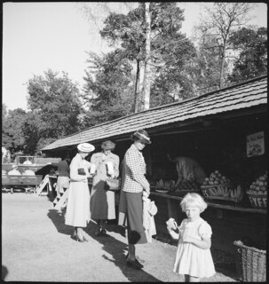 Schweden, Stockholm: Skansen; Menschen vor Verkaufsständen